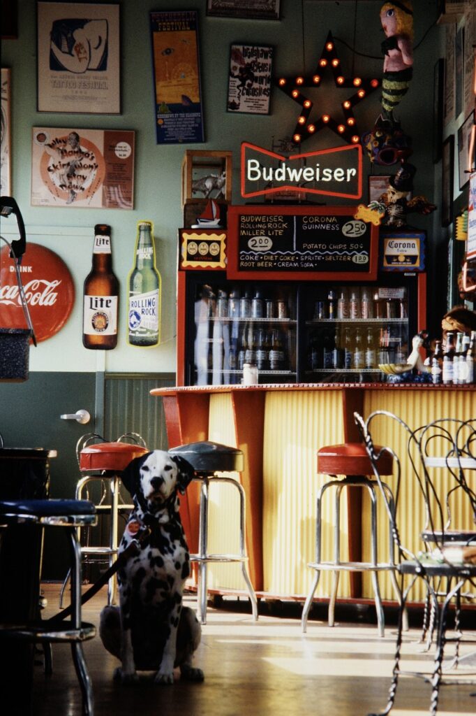 bar, dog, old commercials, retro, advertising, decoration, wait, animal, business, pet, usa, coney island, brooklyn